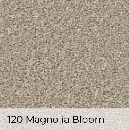 120 magnolia bloom